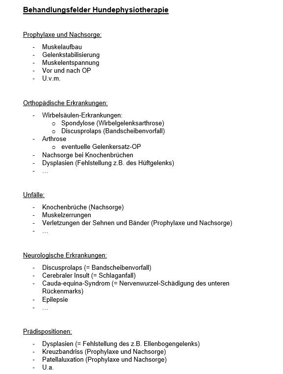 Behandlungsfelder
